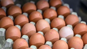 Salmonella outbreak eggs recall linked to 2 LA County restaurants