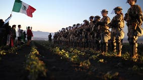 Ventura County cannabis farm ICE raids: Glass House Brands issues 1st public statement