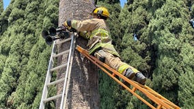 'Neighbor from hell': Van Nuys home now free of train horns, alarm