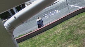 Mail carrier accused of spraying letters with pepper spray, giving them to dog