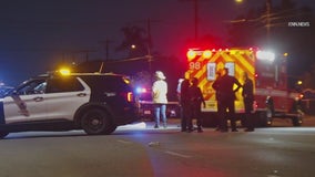 Elderly woman walking her dog killed by hit-and-run driver in Pacoima