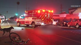 South LA hit-and-run crash: Bicyclist collecting recyclables with dog killed