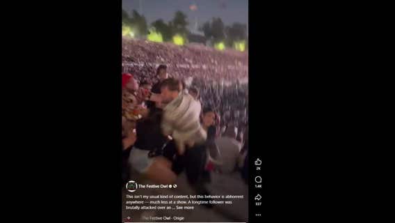 Video shows man attacking woman during concert at Rose Bowl