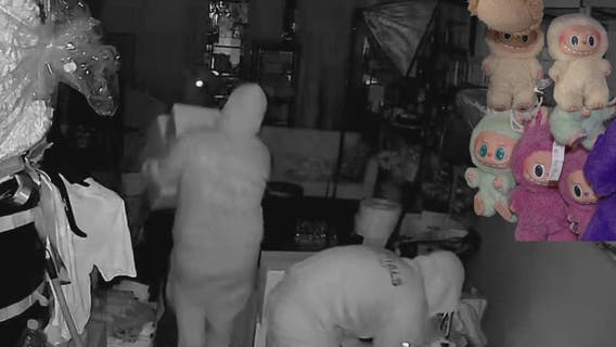 $10,000 worth of viral Labubu toys stolen from store in Los Angeles County