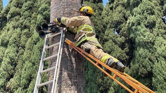 'Neighbor from hell': Van Nuys home now free of train horns, alarm
