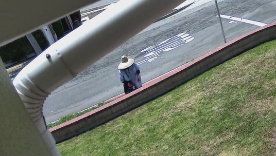 Mail carrier accused of spraying letters with pepper spray, giving them to dog