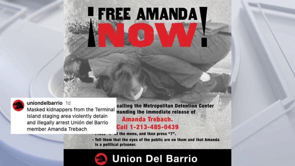 Amanda Trebach: Los Angeles nurse released from ICE custody