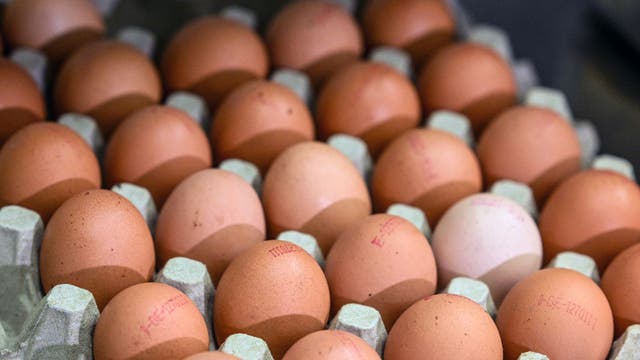 Salmonella outbreak eggs recall linked to 2 LA County restaurants