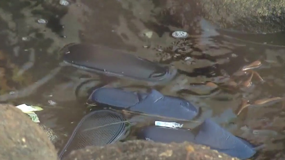 Clothes, shoes wash ashore after shipping containers collapsed at Port of Long Beach