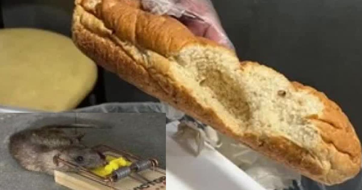 Rats in the kitchen frustrate Subway sandwich artists in Los Angeles ...