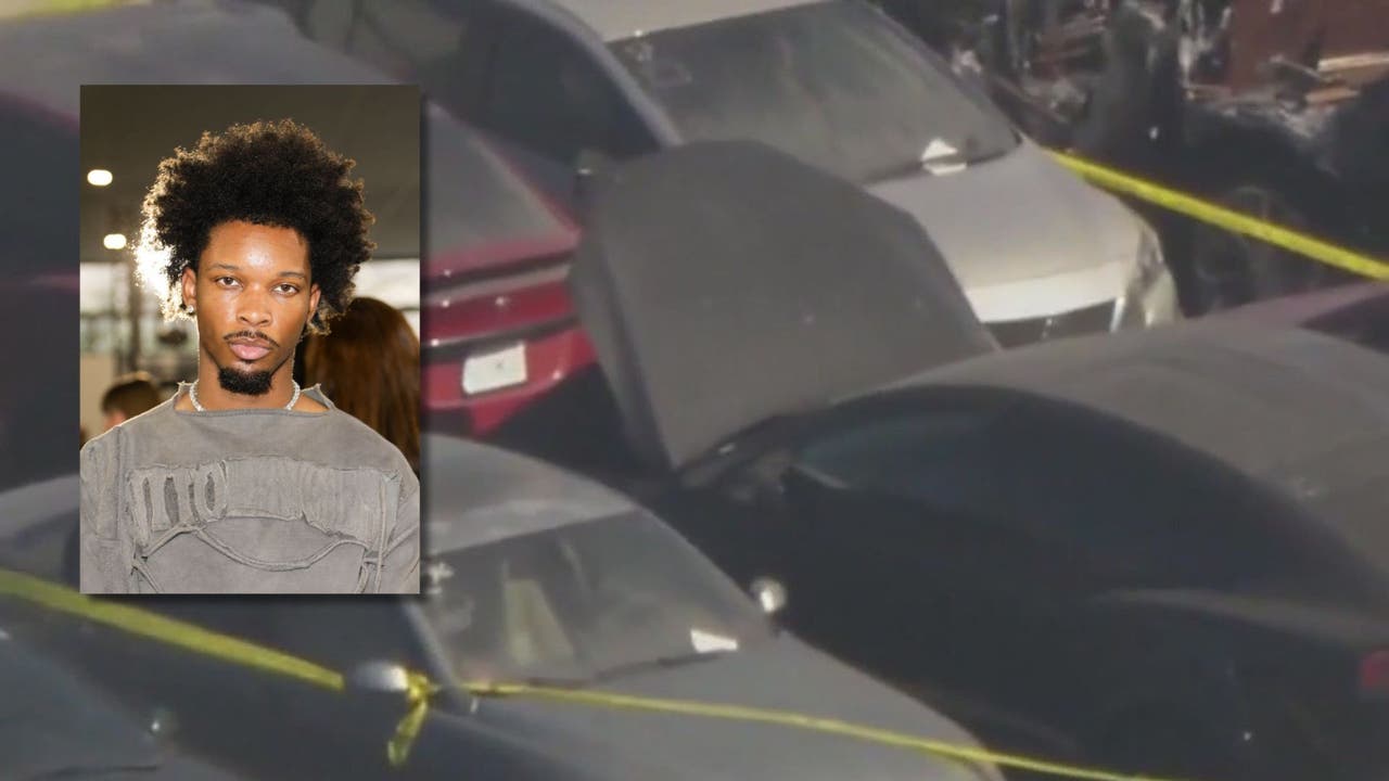 Celeste Rivas: New details about teen girl's body found in D4vd's Tesla revealed