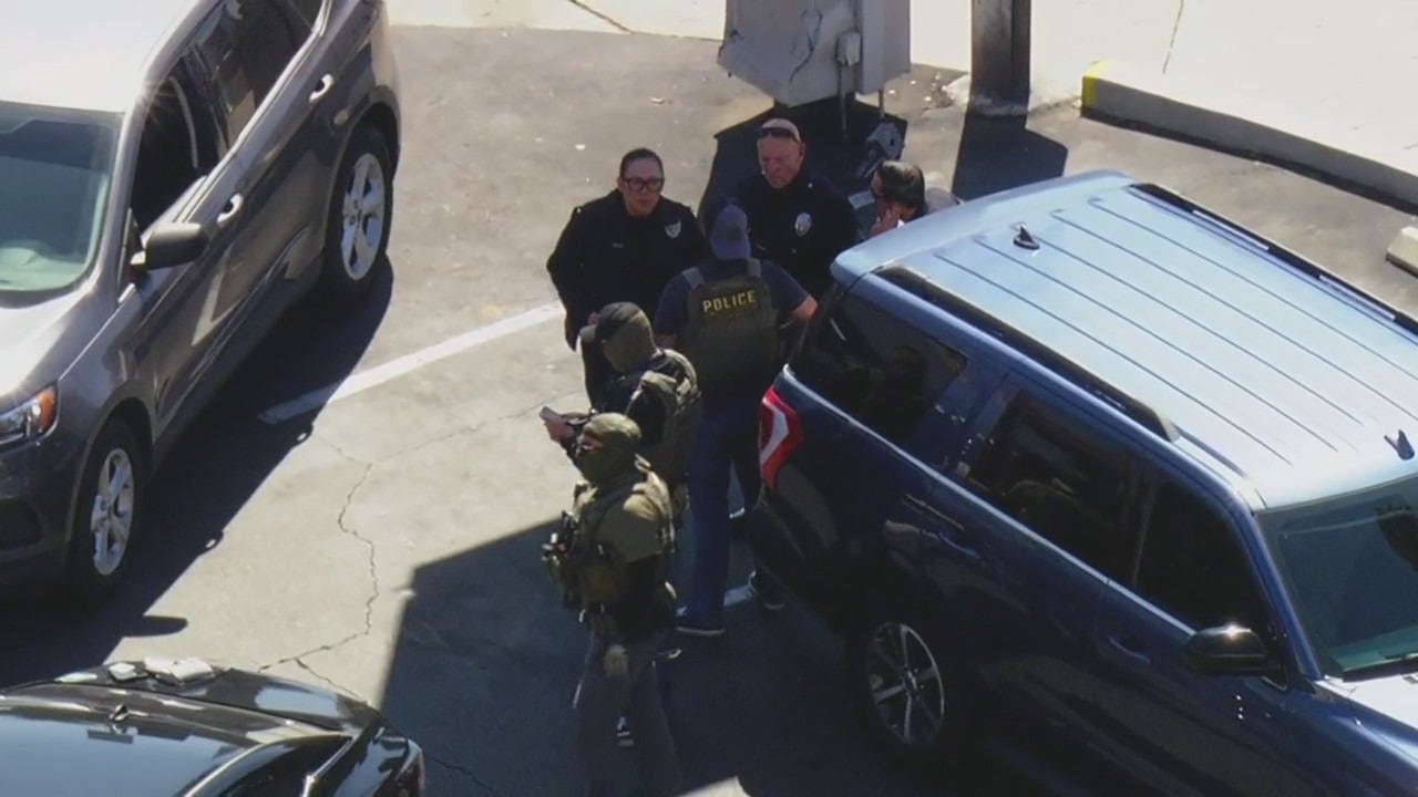 LAPD officers seen alongside federal agents in Van Nuys