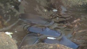 Clothes, shoes wash ashore after shipping containers collapsed at Port of Long Beach