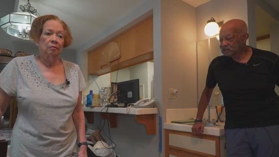 Elderly Los Angeles couple may lose home after termite infestation