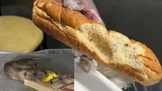 Rats in the kitchen frustrate Subway sandwich artists in Los Angeles