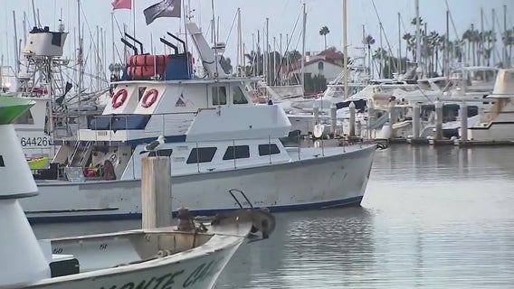 Shark bites swimmer attempting Catalina Channel crossing at night