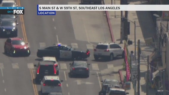 Theft suspect in custody after chase in South LA