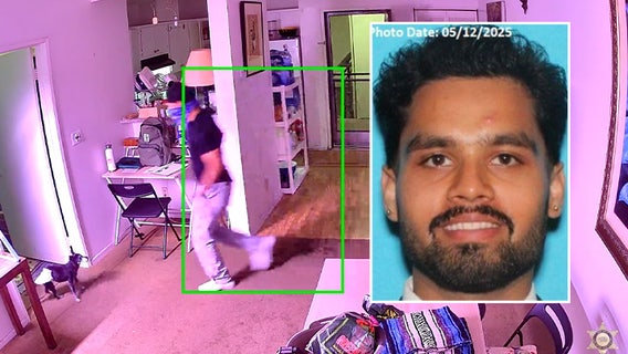 Person of interest sought after dog found dead in West Hollywood burglary