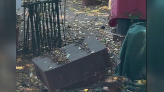 Dogs reportedly taken from shelters found in Bellflower hoarding situation, neighbors say