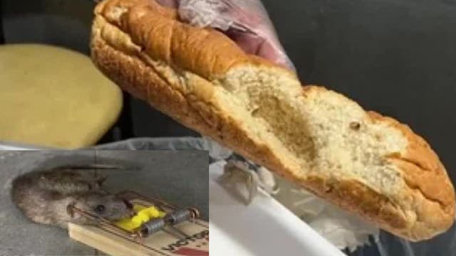 Rats in the kitchen frustrate Subway sandwich artists in Los Angeles