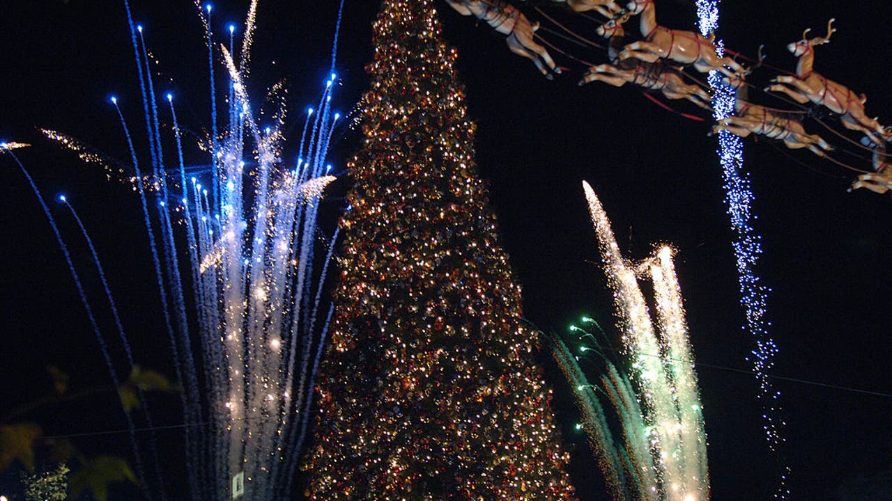 The Grove's iconic Christmas tree has arrived