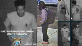 Elderly security guard assaulted in Santa Monica