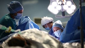 USC sold cadavers to military for IDF training: report