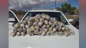 Border Patrol agents seize 52 lbs. of meth hidden in tire at US-Mexico border