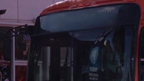 Los Angeles Metro bus rider stabbed in neck; Suspect arrested