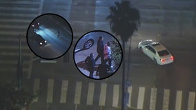 Police chase: Suspect in Dodgers jersey who ditched stolen car, ran across 101 Freeway, taken into custody