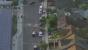 Pedestrian struck in South LA hit-and-run crash near elementary school