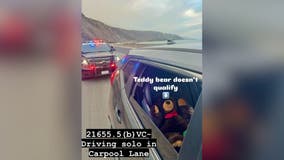 Driver carpooling with teddy bear in Ventura ticketed