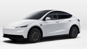 Tesla unveils cheaper version of Model Y Standard