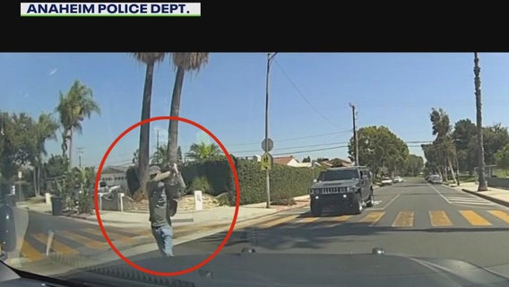 Shovel-wielding man in Anaheim shot, killed by police