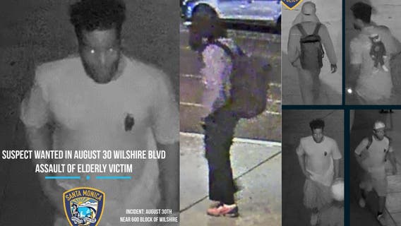 Elderly security guard assaulted in Santa Monica