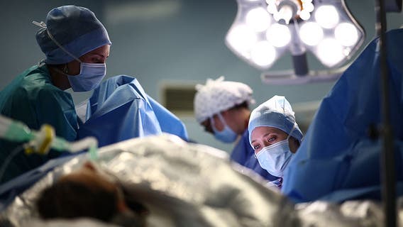 USC sold cadavers to military for IDF training: report