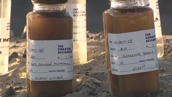 Santa Monica Bay faces pollution concerns after Palisades Fire