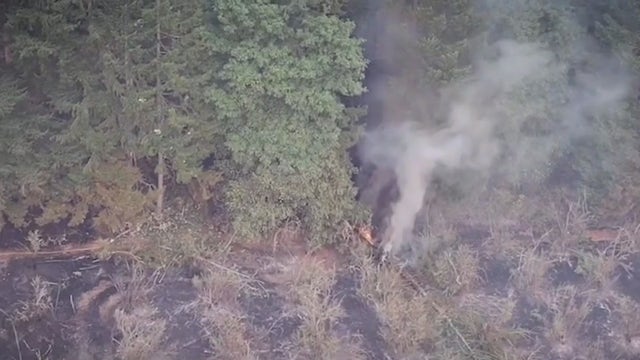 Whistleblower says Palisades Fire could have been prevented if LAFD leadership followed protocol