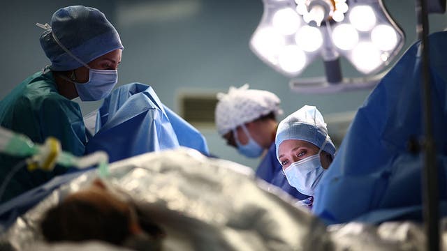 USC sold cadavers to military for IDF training: report