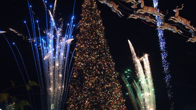 The Grove's iconic Christmas tree arrives ahead of annual tree lighting ceremony