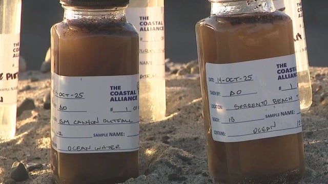 Santa Monica Bay faces pollution concerns after Palisades Fire