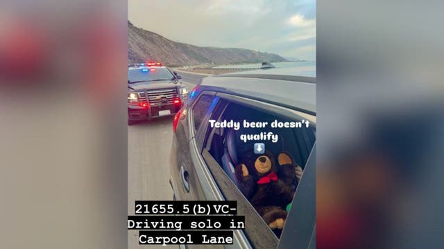 Driver carpooling with teddy bear in Ventura ticketed