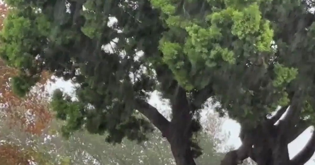 Not done yet: Southern California braces for another round of rain ...