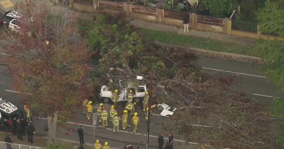 One dead after tree falls on car in Winnetka | FOX 11 Los Angeles
