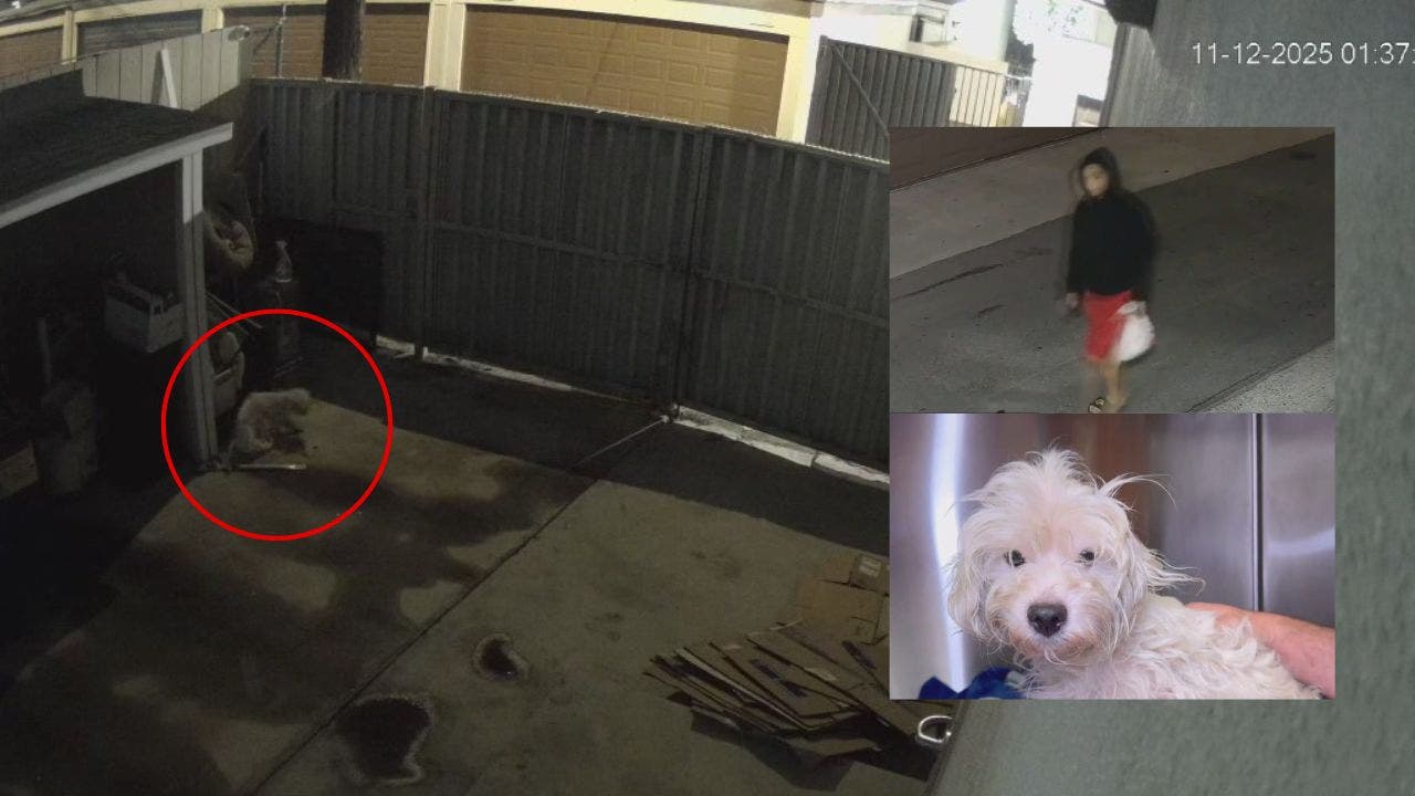 Woman throws dog over fence in plastic bag in Anaheim