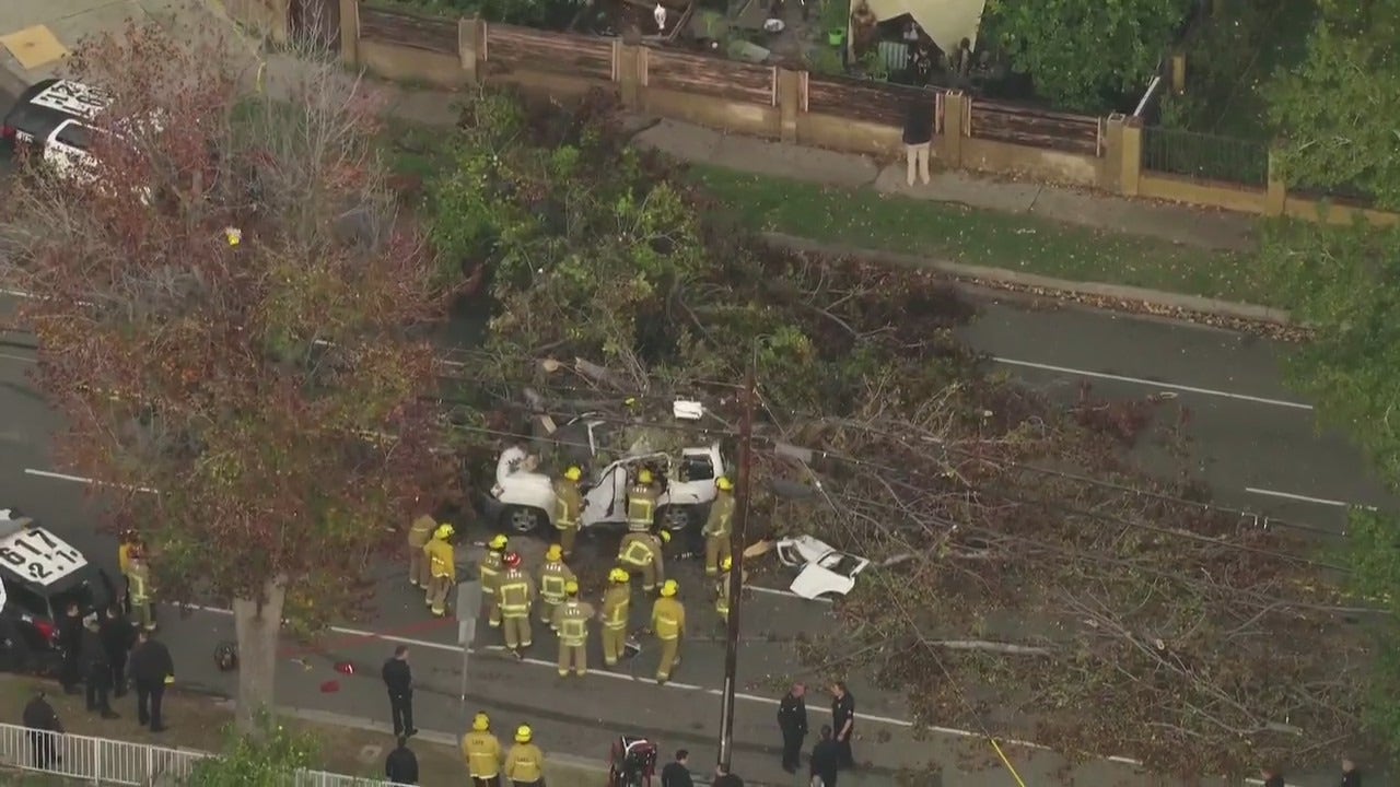 One dead after tree falls on car in Winnetka
