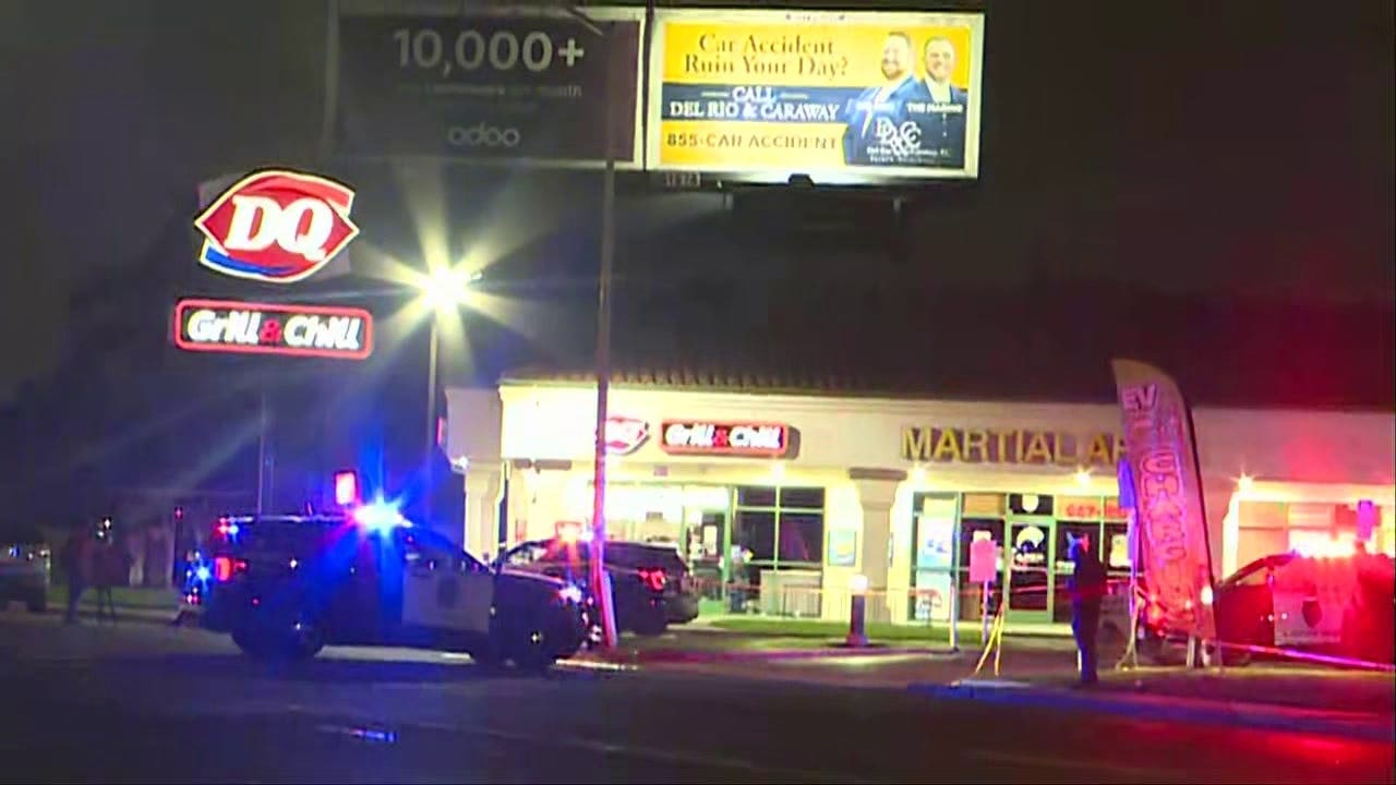 4 dead in California mass shooting at child's birthday party