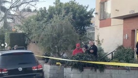 8-year-old girl grazed in the head by stray bullet fired from neighbor's Del Rey apartment