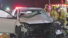 Woman hit and killed in Hollywood by driver in stolen Range Rover