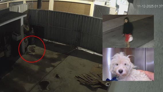 Woman throws dog over fence in plastic bag in Anaheim